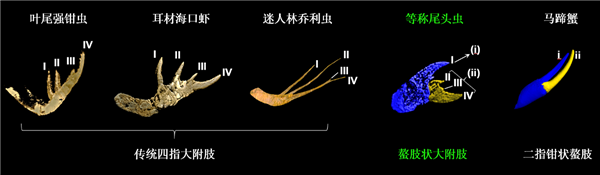 猫山王榴莲冰皮月饼发车：4枚日常98 今券后29到手