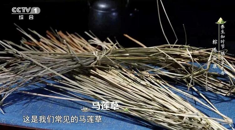 网友给玩偶单独买机票引热议！多家航司回应：已推出占座行李服务