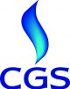 China Gas Society